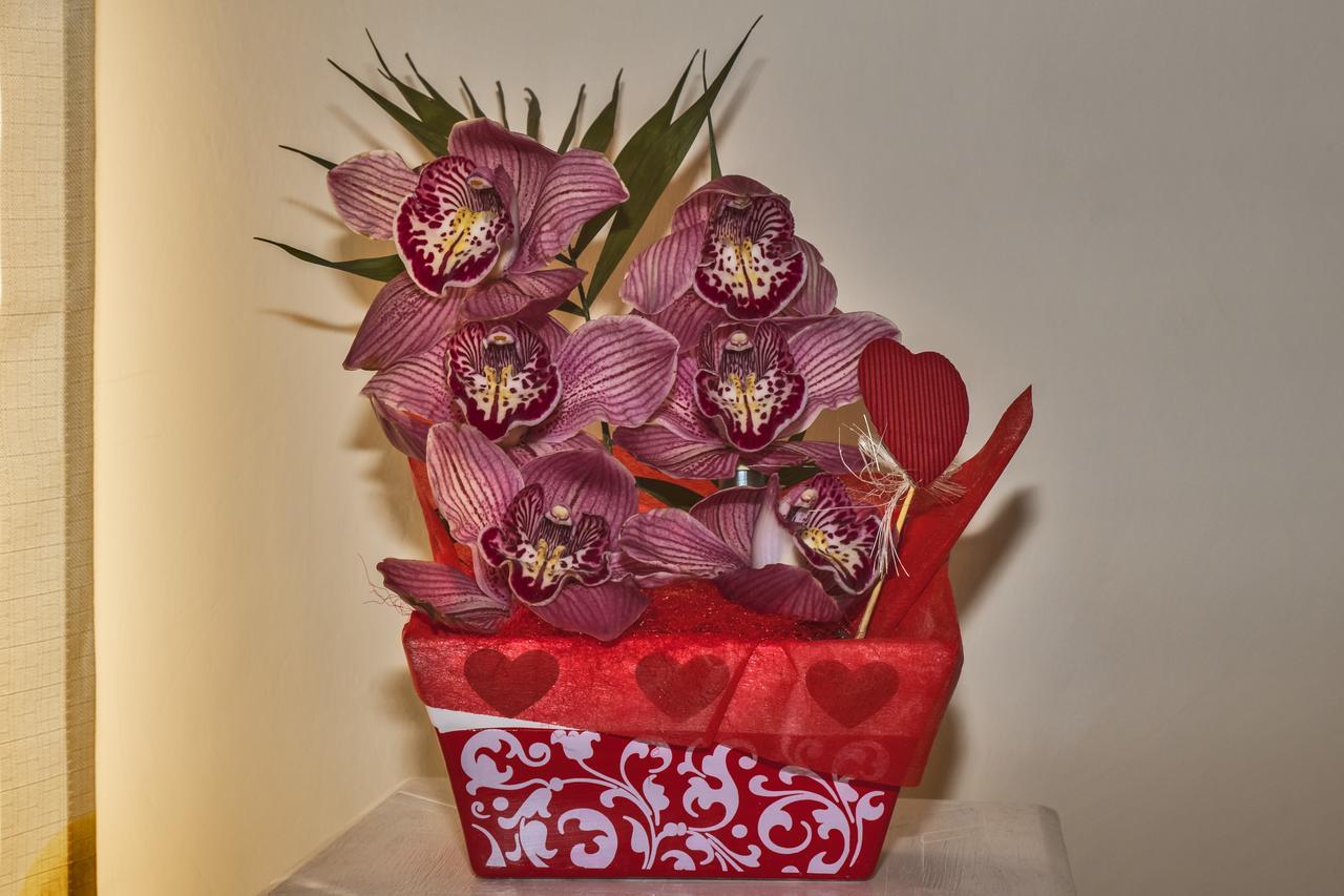 L'Orchidea Di Ale Bed & Breakfast Тиволи Терме Екстериор снимка